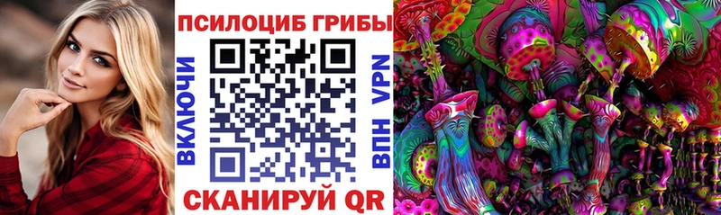 KRAKEN как зайти  Зеленоградск  Псилоцибиновые грибы мицелий 